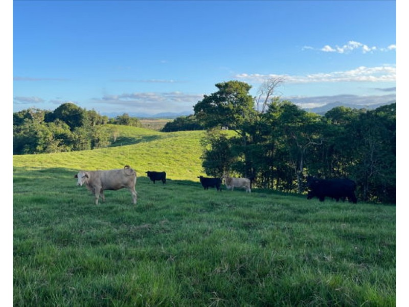 Lot 2 Dinner Creek Road, Eubenangee QLD 4860