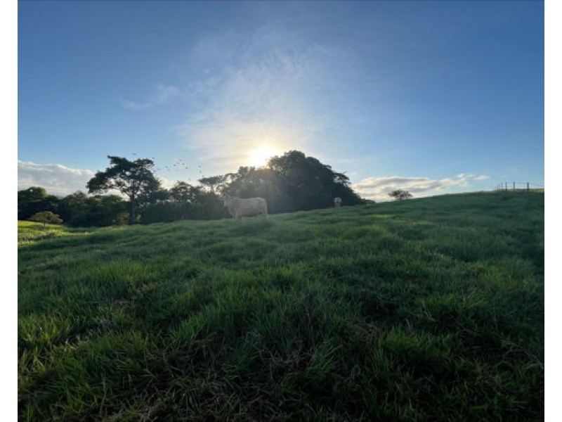 Lot 2 Dinner Creek Road, Eubenangee QLD 4860