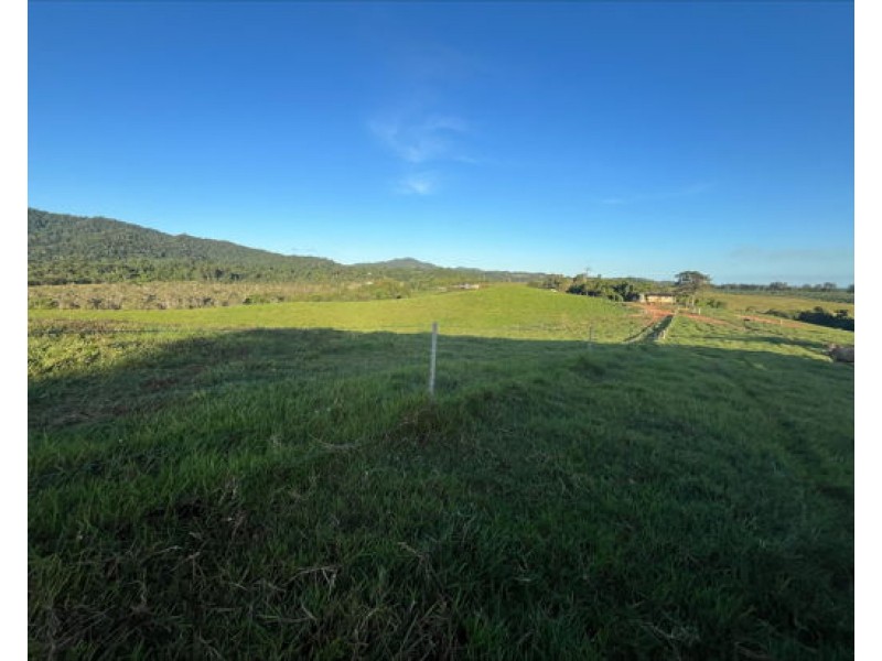 Lot 2 Dinner Creek Road, Eubenangee QLD 4860
