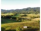 Lot 2 Dinner Creek Road, Eubenangee QLD 4860