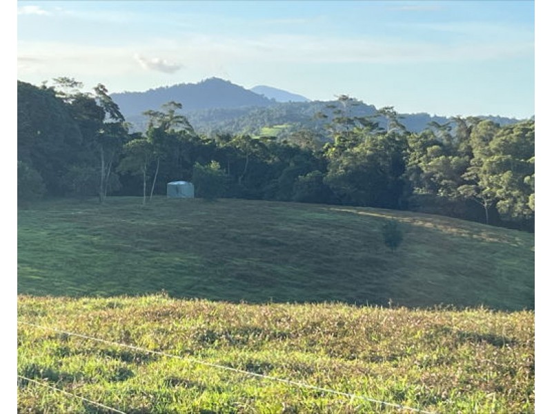 Lot 2 Dinner Creek Road, Eubenangee QLD 4860