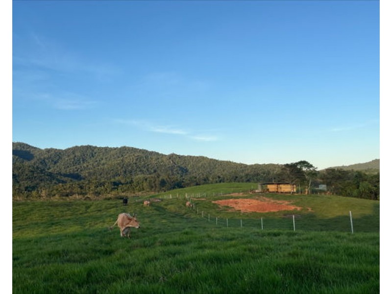 Lot 2 Dinner Creek Road, Eubenangee QLD 4860
