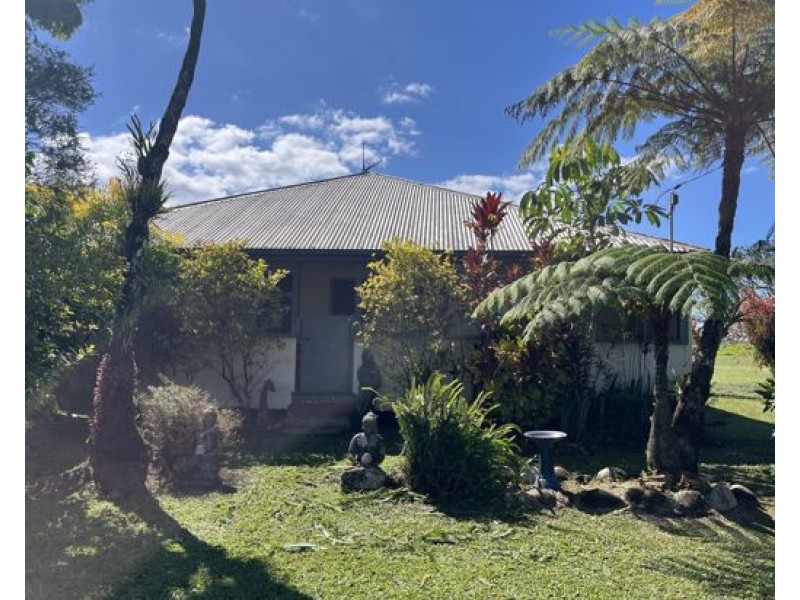 79 McAvoy Street, Daradgee QLD 4860