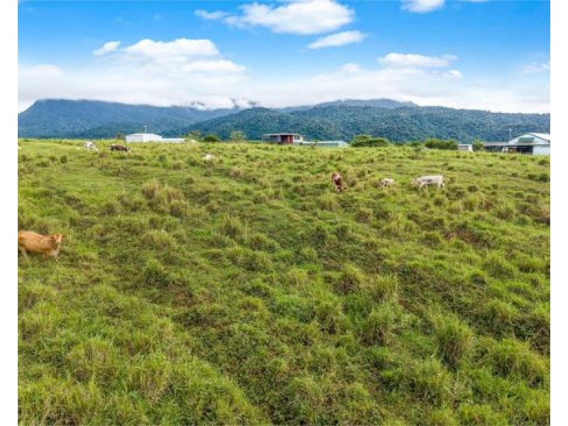 4 Menzies Road, Bartle Frere QLD 4861