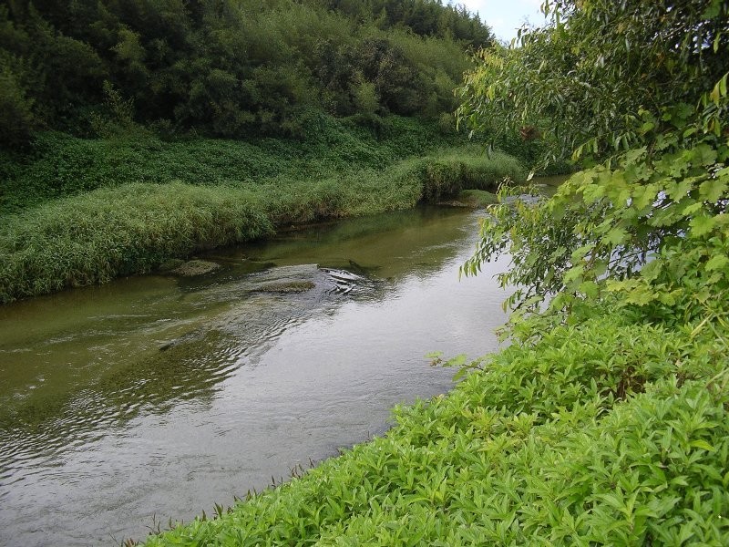 Babinda QLD 4861