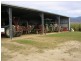 Babinda QLD 4861
