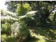 Babinda QLD 4861