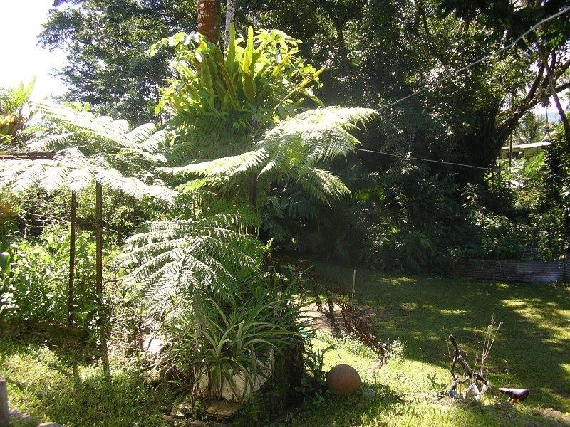 Babinda QLD 4861