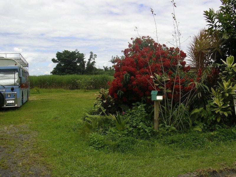 Babinda QLD 4861
