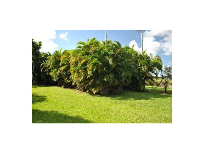 Innisfail QLD 4860