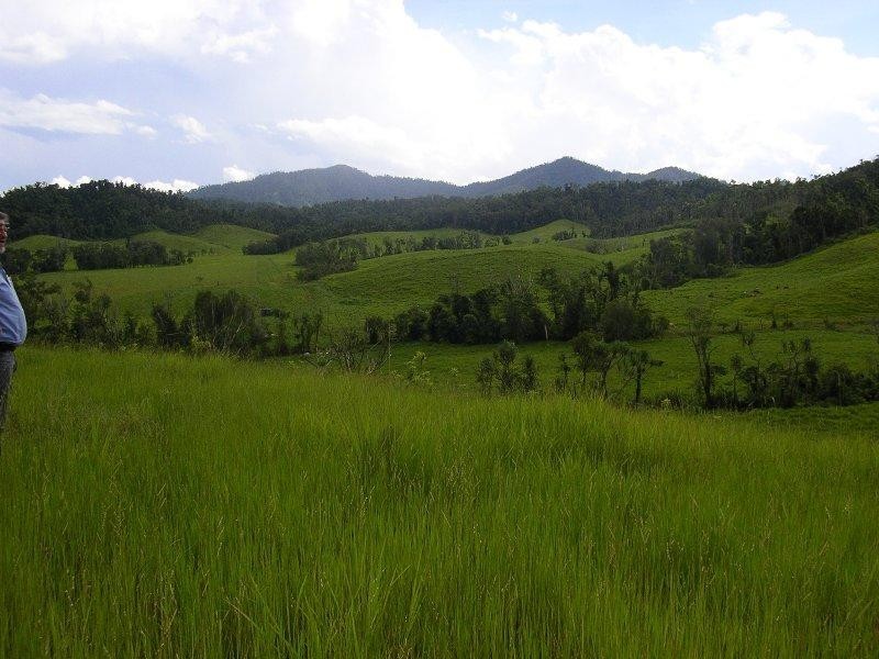 Woopen Creek QLD 4871