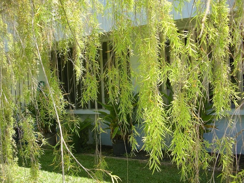 Bramston Beach QLD 4871