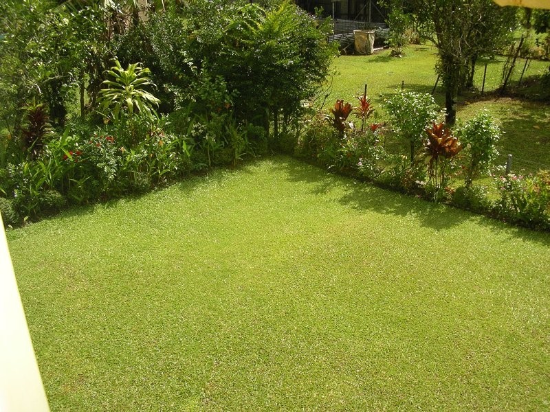 Babinda QLD 4861
