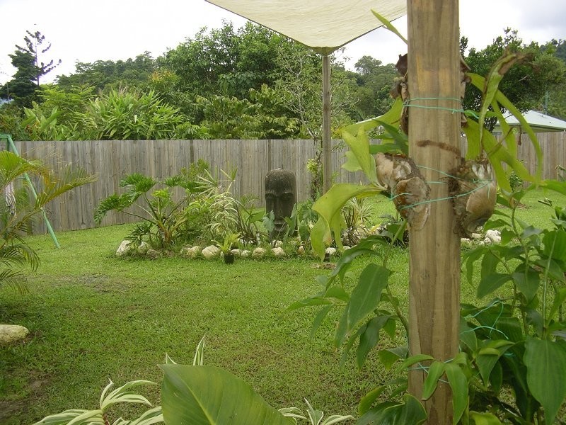 Babinda QLD 4861