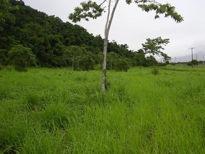 Bellenden Ker QLD 4871