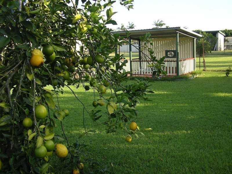 Babinda QLD 4861