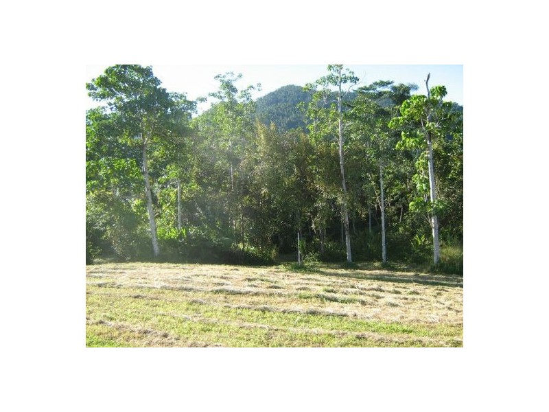 Babinda QLD 4861