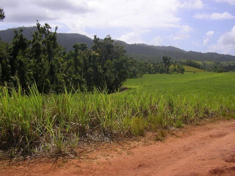 Miriwinni QLD 4871