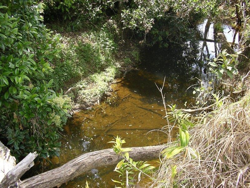Miriwinni QLD 4871