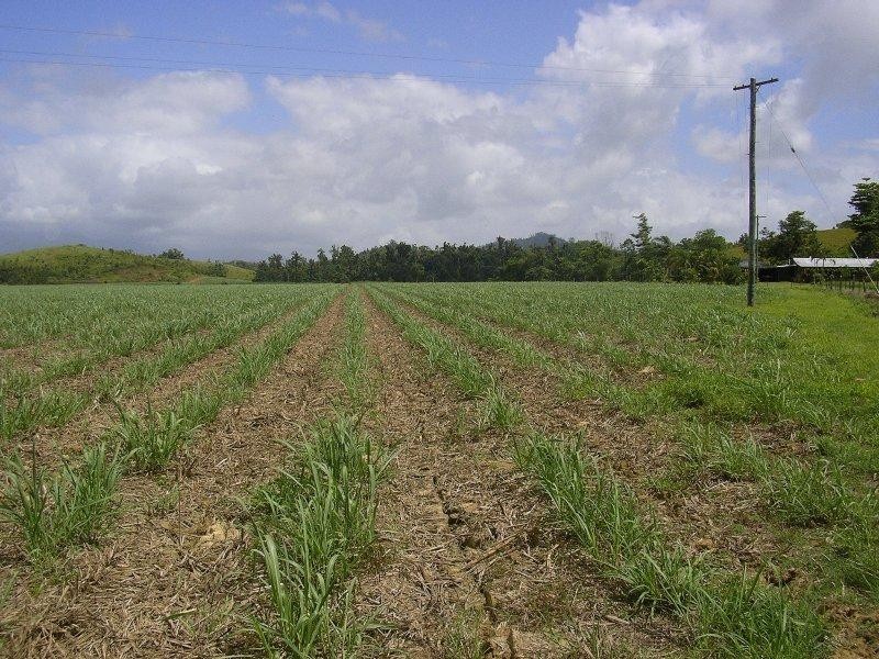 Miriwinni QLD 4871