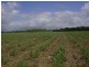 Miriwinni QLD 4871