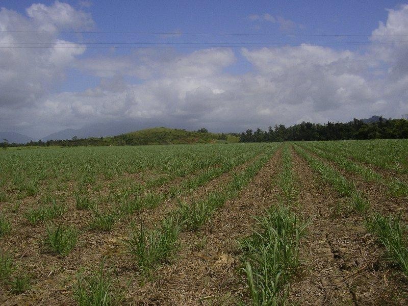 Miriwinni QLD 4871