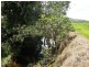Miriwinni QLD 4871