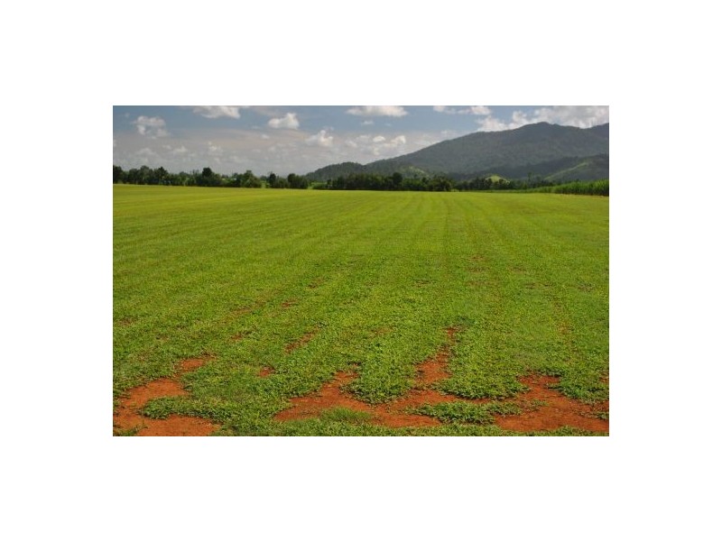 Babinda QLD 4861