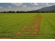 Babinda QLD 4861