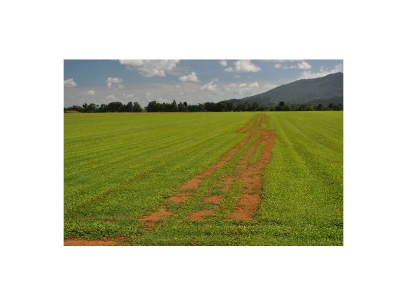 Babinda QLD 4861