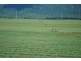 Babinda QLD 4861