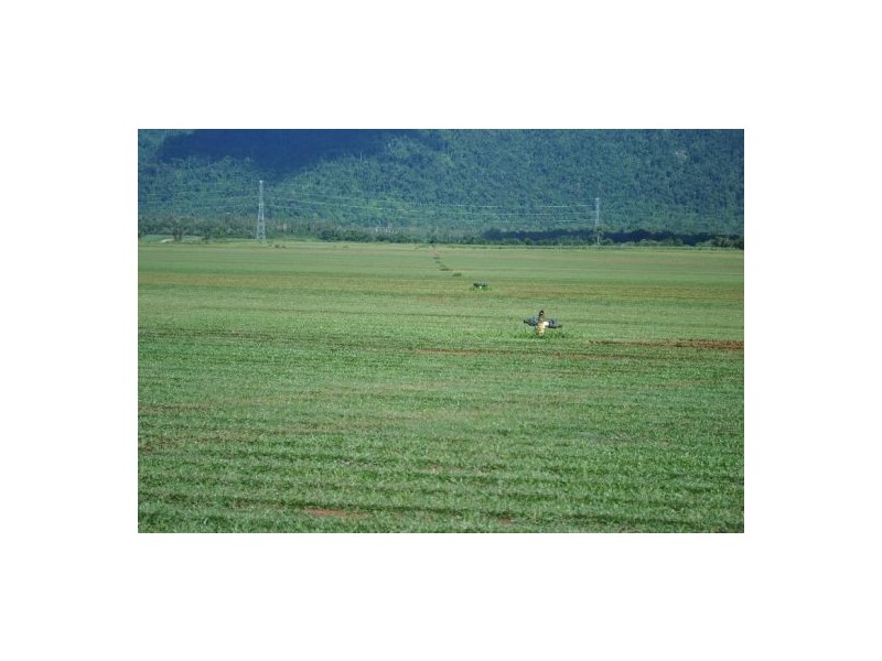 Babinda QLD 4861