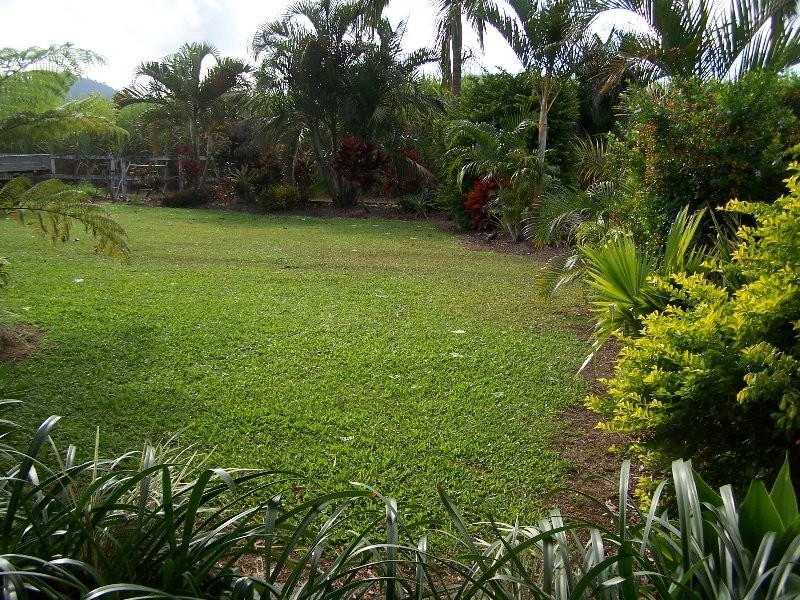 Babinda QLD 4861