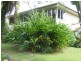 Babinda QLD 4861