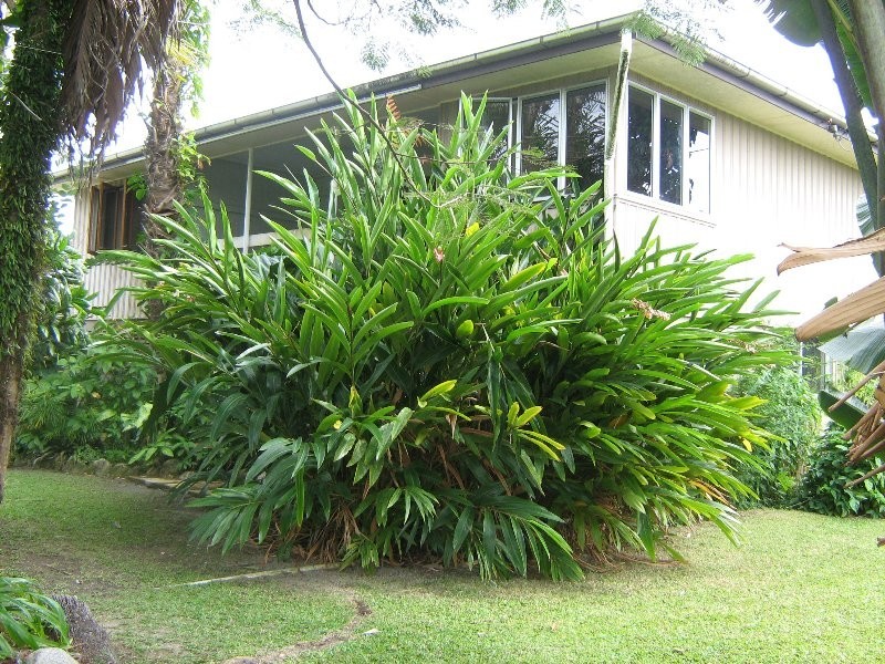 Babinda QLD 4861
