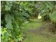 Babinda QLD 4861