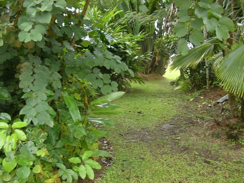 Babinda QLD 4861