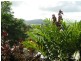 Babinda QLD 4861