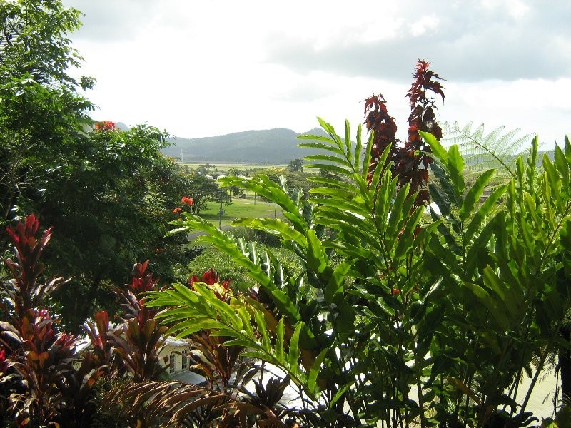 Babinda QLD 4861