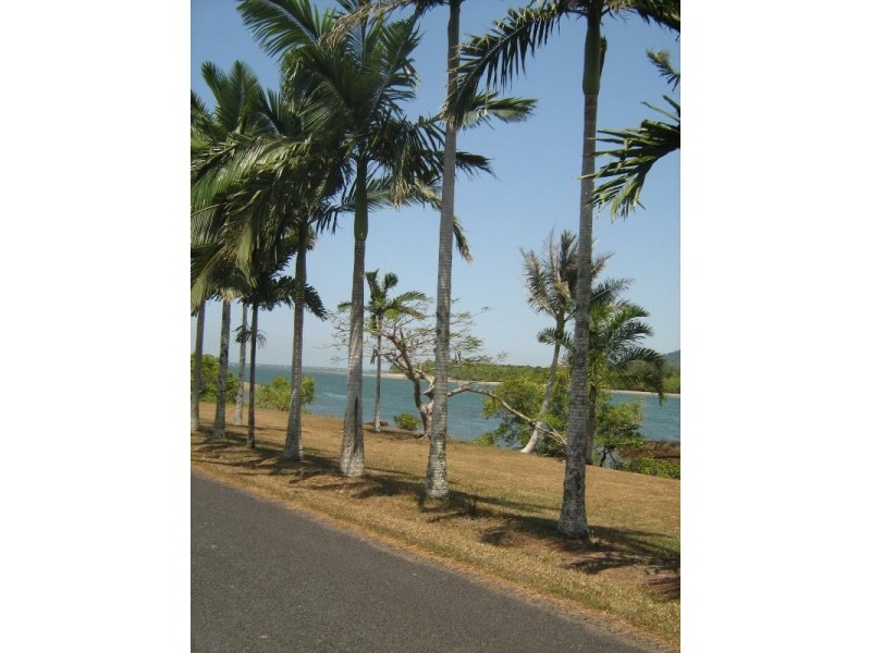 Coconuts QLD 4860
