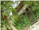 Babinda QLD 4861