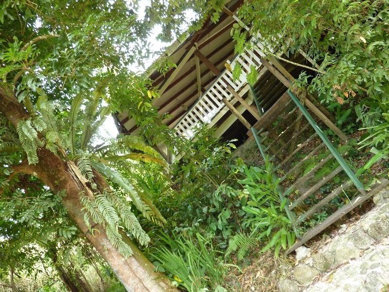 Babinda QLD 4861
