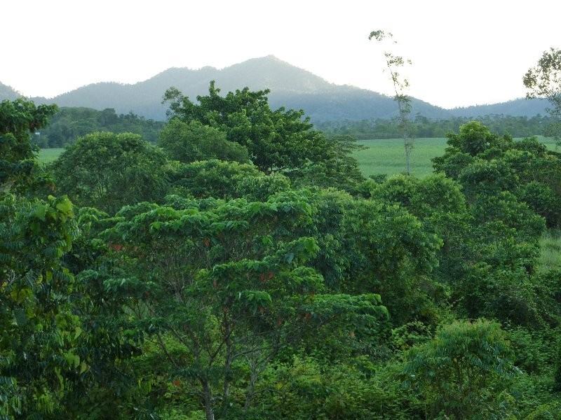 Babinda QLD 4861