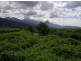 Babinda QLD 4861