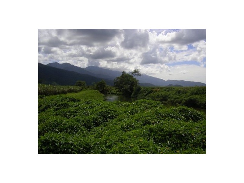 Babinda QLD 4861