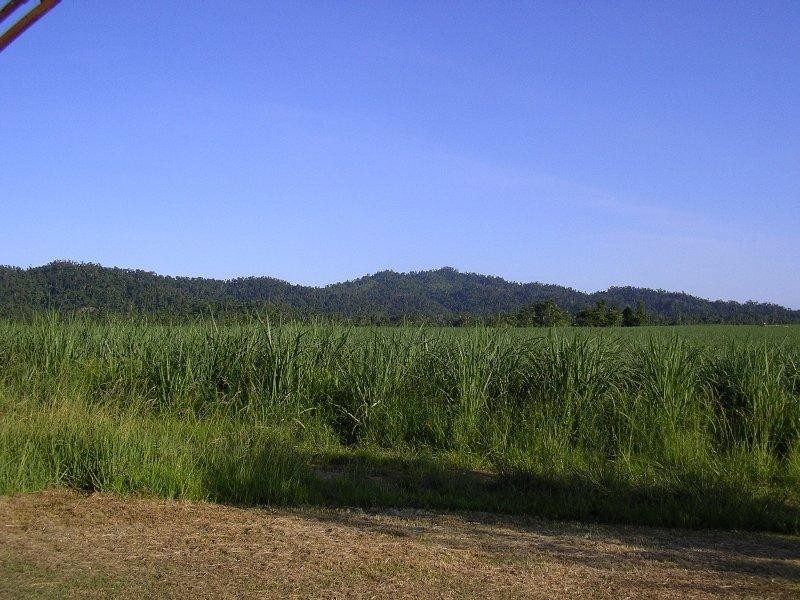 Babinda QLD 4861