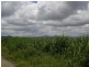 Babinda QLD 4861