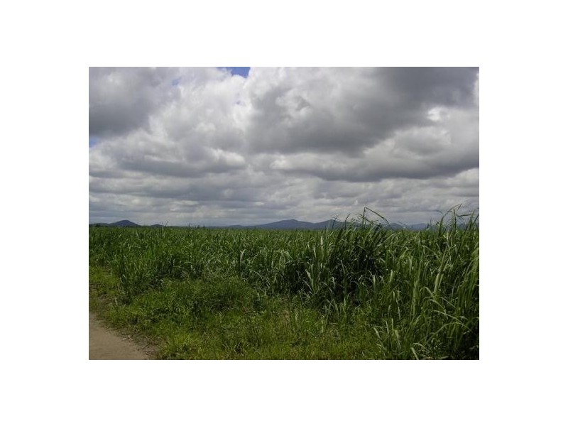 Babinda QLD 4861