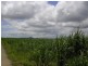 Babinda QLD 4861
