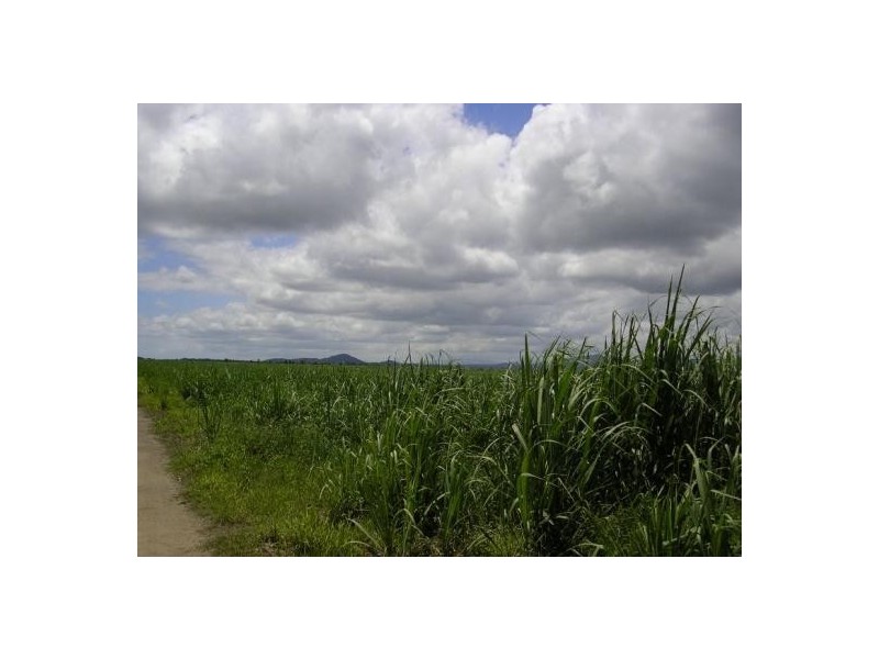 Babinda QLD 4861